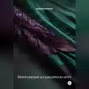 Постер книги Погружение в сенсорную игру