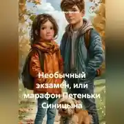 Постер книги Необычный экзамен, или марафон Петеньки Синицына
