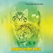 Постер книги Похождение блудного котишки