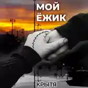 Постер книги Мой ёжик