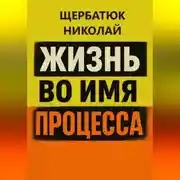 Постер книги Жизнь во имя процесса