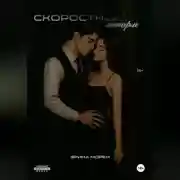 Постер книги Скоростной шторм