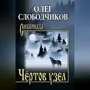 Постер книги Чёртов узел