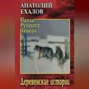 Постер книги Деревенские истории