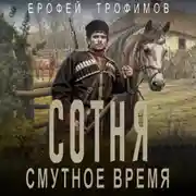 Постер книги Сотня. Смутное время