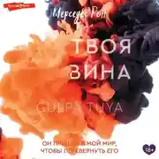 Постер книги Твоя вина