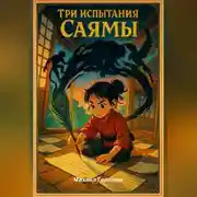 Постер книги Три испытания Саямы