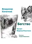 Владимир Кочетков - Бегство