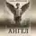 Серж Кузнецов - Ангел