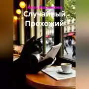 Постер книги Случайный Прохожий