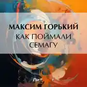 Постер книги Как поймали Семагу