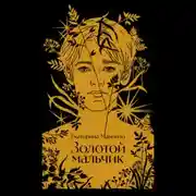 Постер книги Золотой мальчик