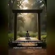 Постер книги Медитация для начинающих: От тишины ума до управляемых путешествий