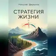 Постер книги Стратегия жизни