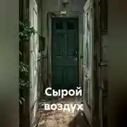 Постер книги Сырой воздух