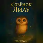 Постер книги Совёнок Лилу