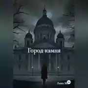 Постер книги Город камня