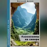 Постер книги Плоскоземы на севере