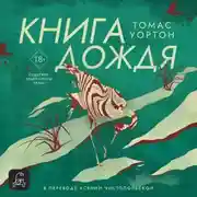 Постер книги Книга дождя