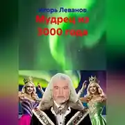Постер книги Мудрец из 3000 года