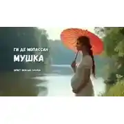 Постер книги Мушка