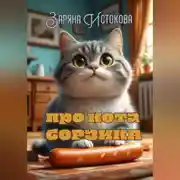 Постер книги Про кота Борзика