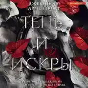 Постер книги Тень и искры