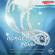 Постер книги Помост у реки Роны