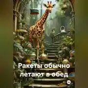 Постер книги Ракеты обычно летают в обед
