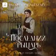 Постер книги Последний рыцарь