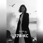Постер книги 178-КС