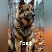 Постер книги Граф