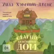 Постер книги Старый деревянный дом. Замечательно занудная сказка на ночь