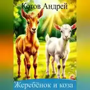 Постер книги Жеребенок и коза