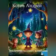 Постер книги Приключения маленького волшебника