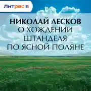 Постер книги О хождении Штанделя по Ясной поляне