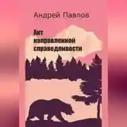 Постер книги Акт направленной справедливости
