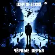 Постер книги Черные перья