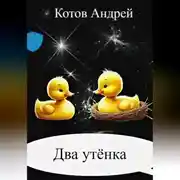 Постер книги Два утёнка