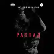 Постер книги Распад