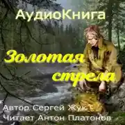 Постер книги Золотая стрела