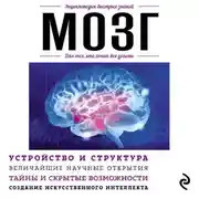 Постер книги Мозг. Для тех, кто хочет все успеть
