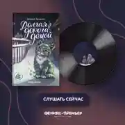 Постер книги Долгая дорога домой