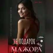 Постер книги Не подарок для мажора