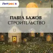 Постер книги Строительство