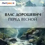 Постер книги Перед весной