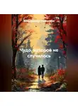 Владимир Никитин - Чудо, которое не случилось