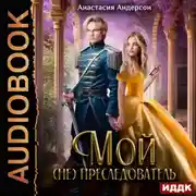 Постер книги Мой (не) преследователь