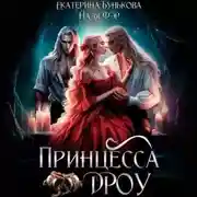 Постер книги Принцесса дроу