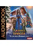 Анна Жнец - Хозяйка приюта. Чудо под Новый год